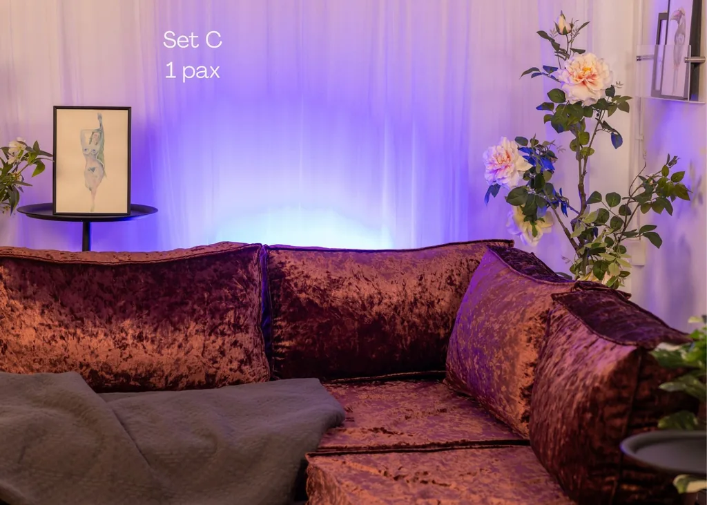 Set C: burgundy velvet sofa under purple light with a flowering plant